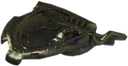 Aetherial Shield