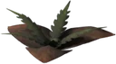 Bittergreen Petals