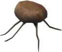 Blind Watcher's Eye