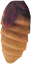 Bliss Bug Thorax