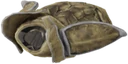Bonemold Pauldron Armor