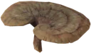 Bungler's Bane