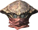 Chitin Helmet of Eminent Restoration
