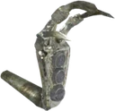 Coral Dragon Claw