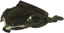 Dwarven Shield of Dwindling Shock