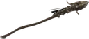 Forsworn Staff