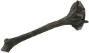 Giant Club