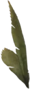 Hackle-Lo Leaf