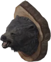 Mounted Bear Head