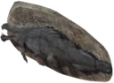 Mounted Slaughterfish