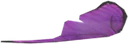 Purple Butterfly Wing
