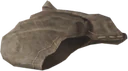 Serana Hood