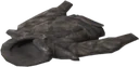 Skaal Coat