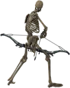 Skeleton