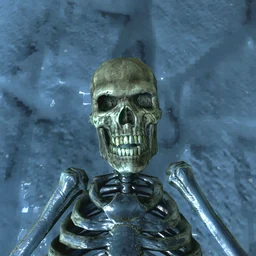 Skull