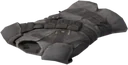Thieves Guild Variant Armor