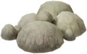 Wisp Stalk Caps