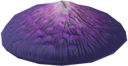 Worm's Head Cap